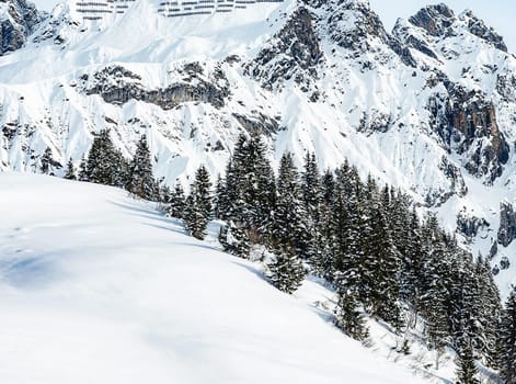 A Creative Austria pictures
