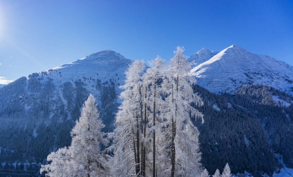 A Creative Austria pictures