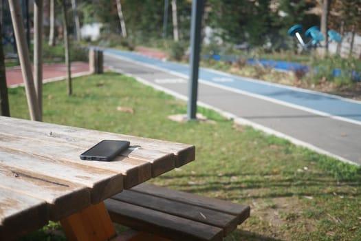 lost smart phone on a park bench .