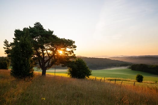 Panoramic image of summer landscape within the Eifel close to Blankenheim during sunrise, North Rhine Westphalia, Germany