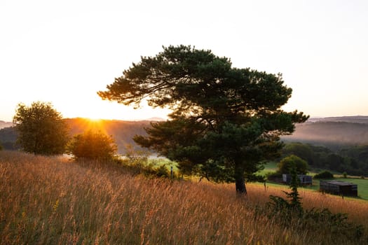 Panoramic image of summer landscape within the Eifel close to Blankenheim during sunrise, North Rhine Westphalia, Germany