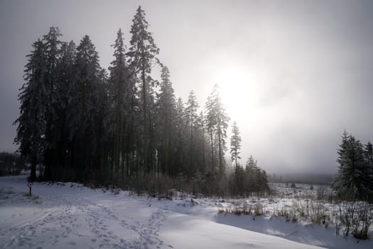 Panoramic landscape of High Fens during winter, Belgium, Europe
