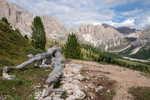 Panoramic image of landscape in South Tirol, Italy, Europe
