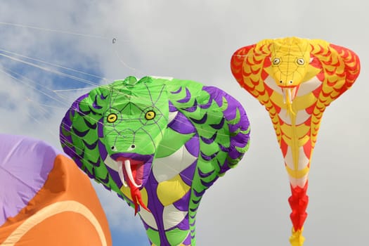 Kite festival. Kite cobra in the sky at the beach of Atlantic ocean