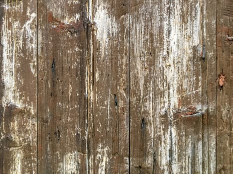 Brown wood texture background coming from natural tree. The wooden panel has a beautiful dark pattern, hardwood floor texture.