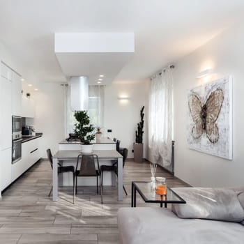 Modern living room. Spacious and modern kitchen and living room in white and gray. Interior designed with style.