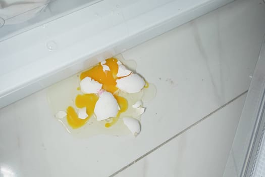 Broken eggs create a mess on the kitchen floor near a refrigerator.