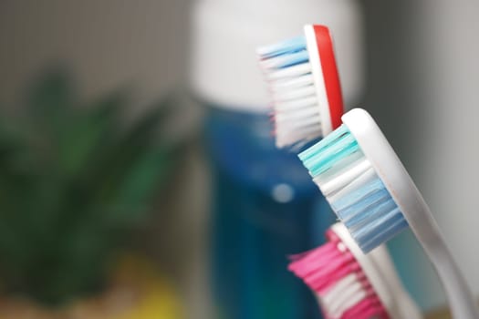 Three vibrant toothbrushes are arranged beside a bottle of mouthwash.