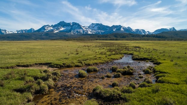 A large, snow-covered mountain range is visible in the distance. The sky is clear and blue, and the grassy field is dotted with small rocks. The scene is peaceful and serene