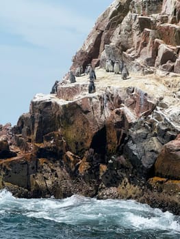 A group of penguins rests on a rugged, sunlit cliff above the ocean as waves crash against the rocks in a remote coastal habitat.