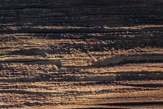 Sunlight dances on a rough wooden surface, showcasing nature's intricate patterns and textures.