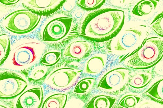 each of a pair of globular organs in the head through which people and vertebrate animals see