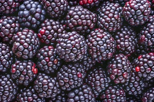 A thorny shrub with edible black berries, and also the berry of this shrub