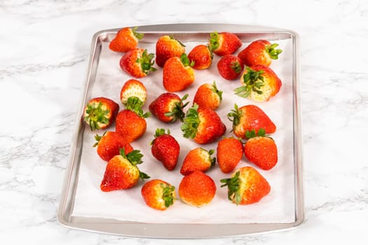Juicy red strawberries, freshly washed, are spread out to dry on a baking sheet, carefully lined with paper towels to absorb excess moisture and prevent mold.