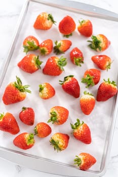 Juicy red strawberries, freshly washed, are spread out to dry on a baking sheet, carefully lined with paper towels to absorb excess moisture and prevent mold.