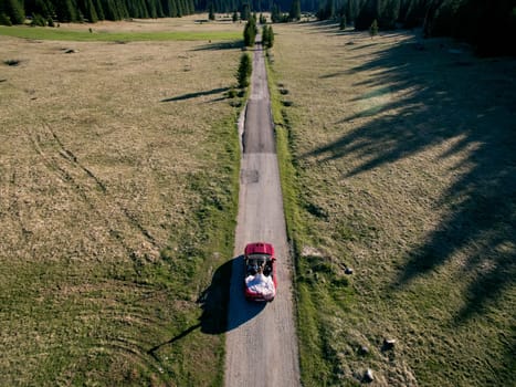 Groom carries bride standing in a cabriolet along the road past the trees. Top view. High quality photo