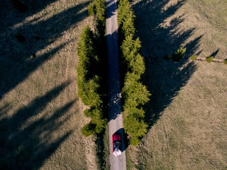 Bride and groom are riding in a cabriolet along the highway among the trees. Top view. High quality photo