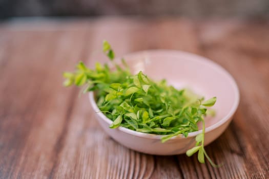 Young green sprouts of microgreen peas lie in a plate on the table. High quality photo
