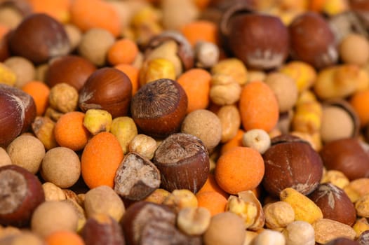 A vibrant mix of nuts and seeds showcases a variety of textures and colors, emphasizing the rich palette found in nature's offerings. The inviting assortment draws attention.