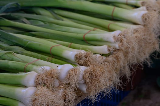 Bright green onions with delicate roots are neatly arranged at a bustling market. Early morning sunlight highlights their freshness while vendors engage with eager customers.