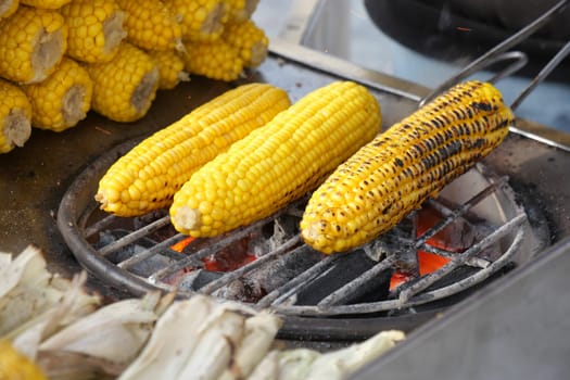 Cobs of corn are being grilled over hot coals at a street market.