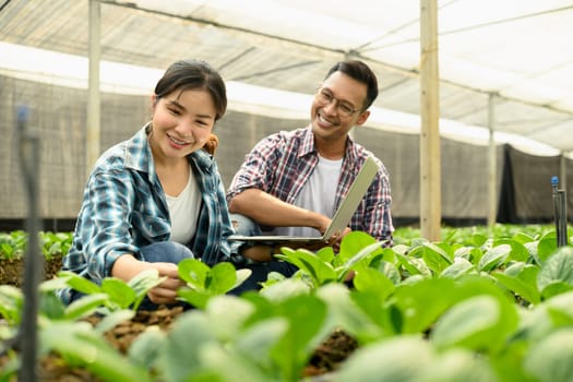 Smiling couple inspecting young vegetable plants and using laptop in a greenhouse.