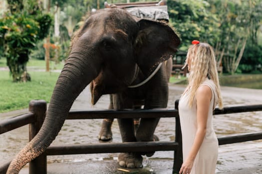 beautiful girl with smiling elephant, elephant village, bali.