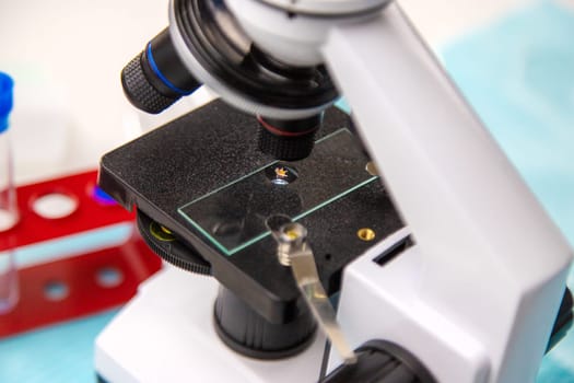 Tick in a test tube in the laboratory. Selective focus. Nature.