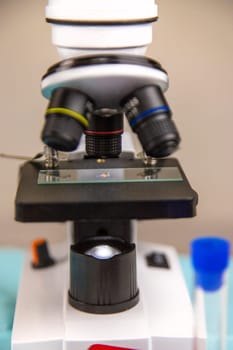 Tick in a test tube in the laboratory. Selective focus. Nature.