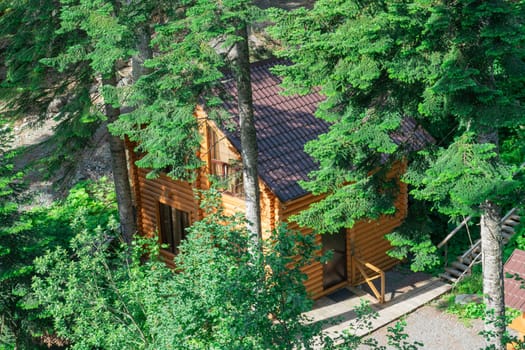 A charming wooden cabin surrounded by tall trees showcases the beauty of nature. The structure's rustic design blends seamlessly into the tranquil forest environment, creating a peaceful retreat.