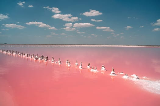 Pink lake's surface reflects a bright sky. A long line of people walks across the shallow, pink water, leaving a white trail.
