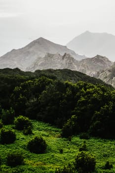Atmospheric landscape with rocks and green damp forest in the fog, view of the road among the mountains on a tropical island, way to the national park.