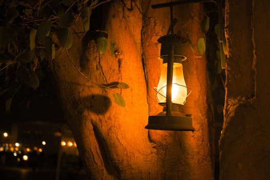 A glowing lantern hangs on a tree, casting light in a cozy evening setting.