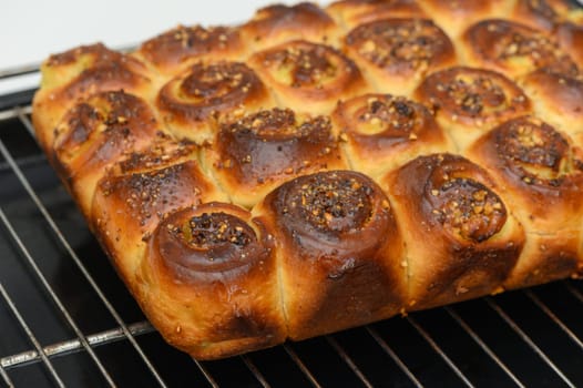 Freshly baked rolls emerge from the oven, showcasing a golden crust topped with a crunchy, flavorful layer. This delightful creation invites everyone to enjoy its warmth and aroma.