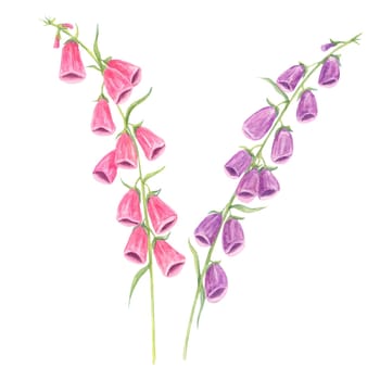 Mixed purple and magenta foxglove flowers watercolor clipart. A versatile asset for floral compositions, garden-themed prints, fabric patterns, and custom design projects