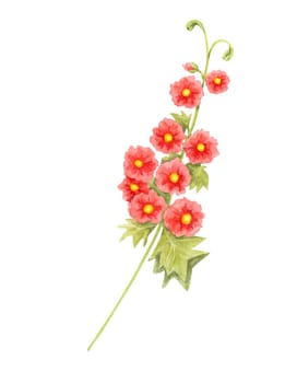 Red and yellow hollyhock stem watercolor clipart with detailed green leaves. Perfect for vintage-inspired prints, botanical branding, floral-themed invitations, and home decor accents