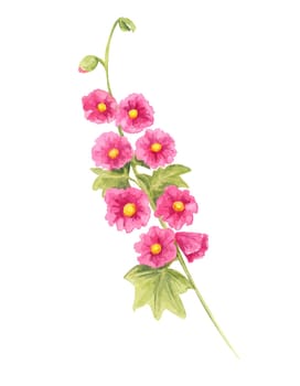 Bright pink hollyhock stem watercolor clipart with lush green foliage. A wonderful addition to botanical compositions, wedding stationery, floral fabric prints, and seasonal artwork