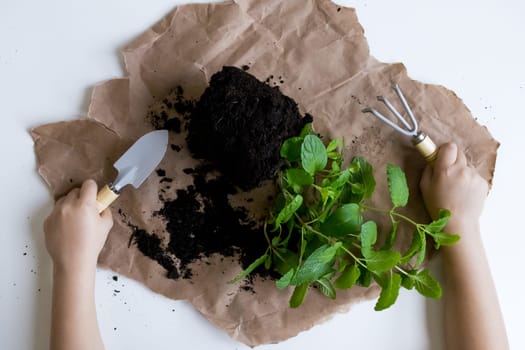 Child gardening with tools and plant on brown paper surface.