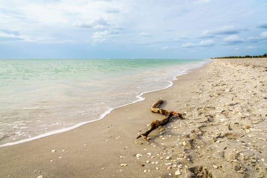 Scenic view of the beach at Stump Pass Beach State Park in Venice, Florida