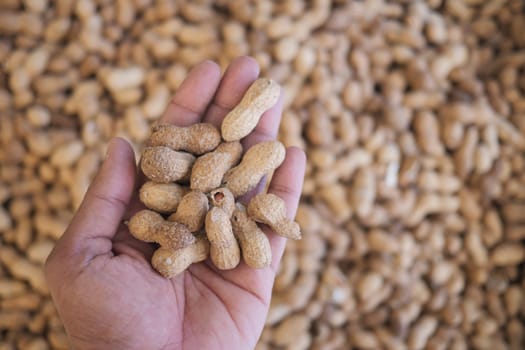 A hand showcases fresh, unpeeled peanuts at a local market setting.
