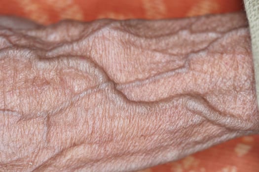 Close-up of a wrinkled hand showing age and experience in soft light.