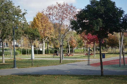 Bright autumn afternoon highlights trees and benches in a city park.