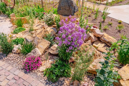 Landscaped natural rock garden with plants, succulents, rocks and stones.
