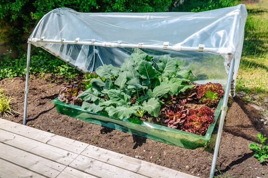 DIY plastic greenhouse or foil greenhouse for food production for small gardens, cold weather protection