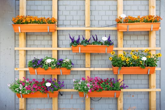 Outdoor hanging flower pots for small garden, patio or terrace