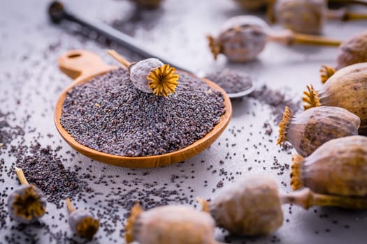 Organic poppy seeds in small bowl with poppy heads