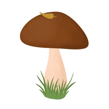 Hand drawn simple mushrooms, fungus forest wood fungi. brown woodland nature botanical illustration bolete chanterelle wild fall autumn edible cooking foraging