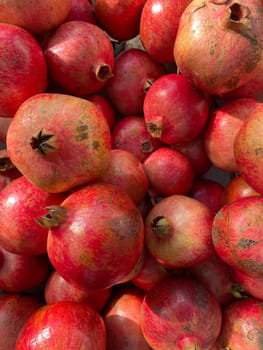 lots of ripe pomegranate fruits for cooking as background