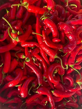 lots of chili peppers for cooking as background