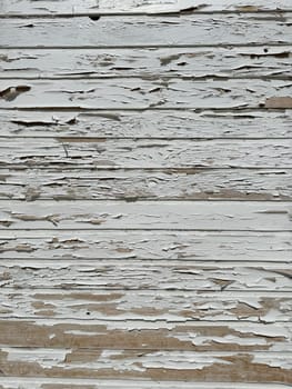 vintage cracked white wooden wall as background